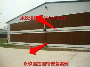 国产精品香蕉安裝現場