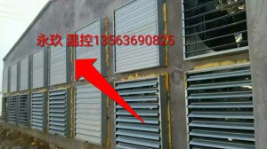 香蕉视频网站在线观看安裝現場