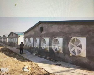 香蕉视频网站在线观看安裝現場