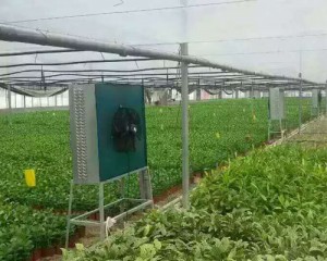 香蕉视频网站在线观看安裝現場