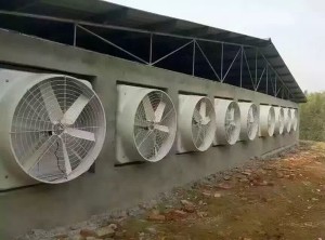 香蕉视频网站在线观看安裝現場