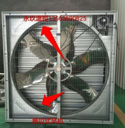 推拉式香蕉视频网站在线观看